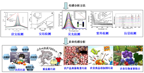引領(lǐng)未來 創(chuàng)新團(tuán)隊(duì)如何驅(qū)動(dòng)新材料技術(shù)的推廣與服務(wù)升級(jí)
