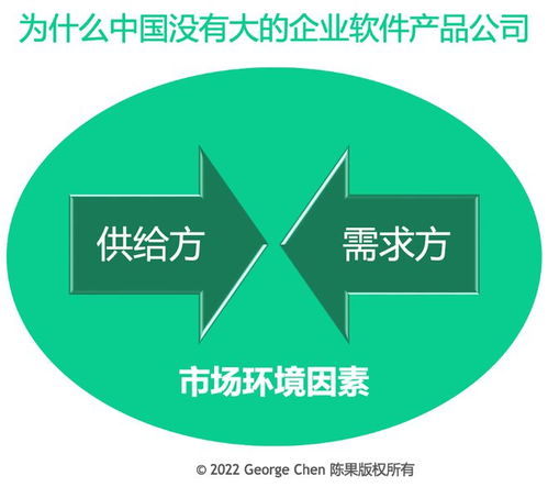 為何中國(guó)企業(yè)軟件市場(chǎng)未現(xiàn)巨頭？探析背后的多重因素